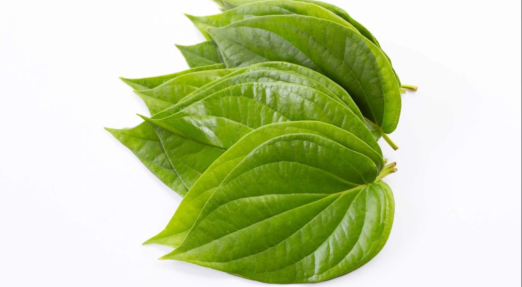 Betal Leaves